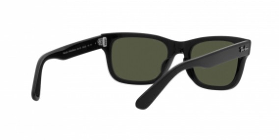 Ray-Ban RB2283 901/31