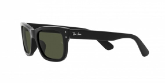 Ray-Ban RB2283 901/31