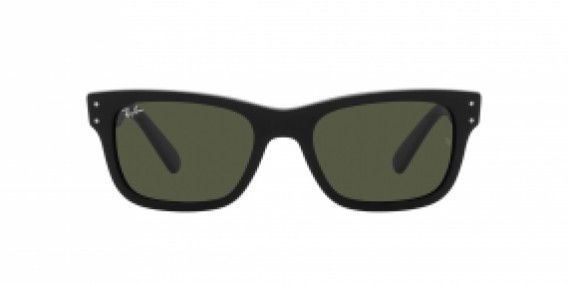 Ray-Ban RB2283 901/31