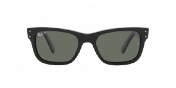 Ray-Ban RB2283 901/58