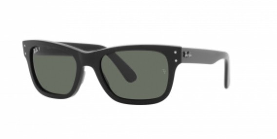 Ray-Ban RB2283 901/58