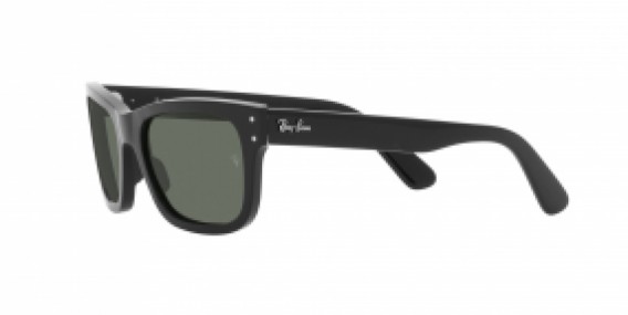 Ray-Ban RB2283 901/58