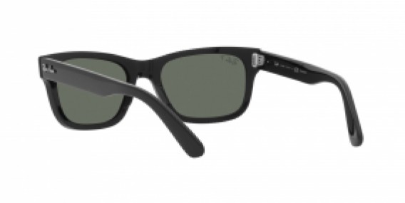 Ray-Ban RB2283 901/58