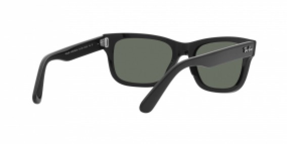 Ray-Ban RB2283 901/58