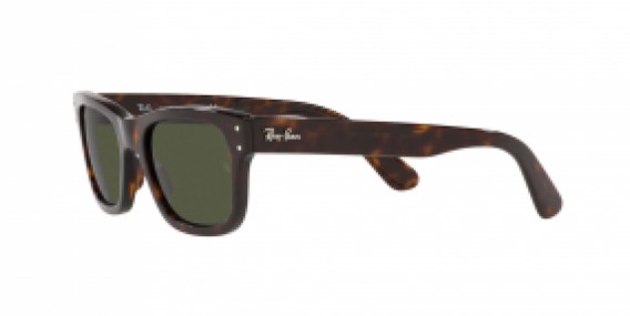 Ray-Ban RB2283 902/31