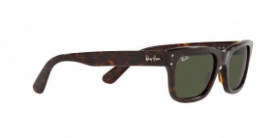 Ray-Ban RB2283 902/31