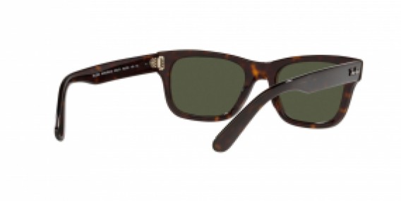 Ray-Ban RB2283 902/31