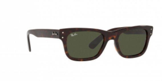 Ray-Ban RB2283 902/31