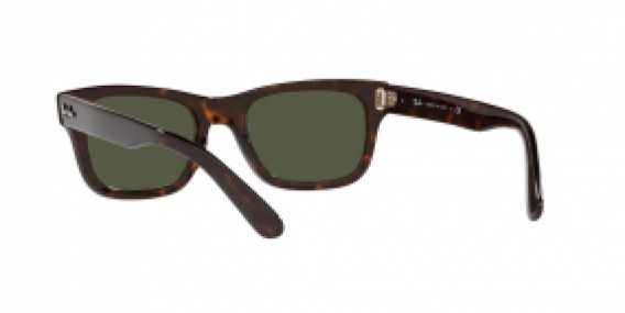 Ray-Ban RB2283 902/31