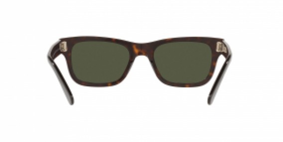 Ray-Ban RB2283 902/31