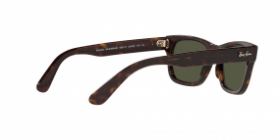 Ray-Ban RB2283 902/31