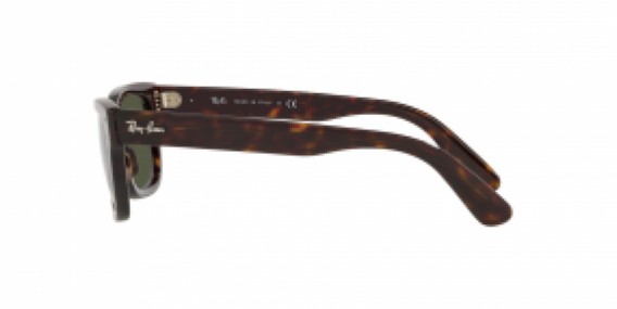 Ray-Ban RB2283 902/31