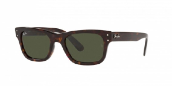 Ray-Ban RB2283 902/31