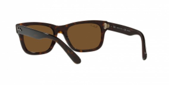 Ray-Ban RB2283 902/57