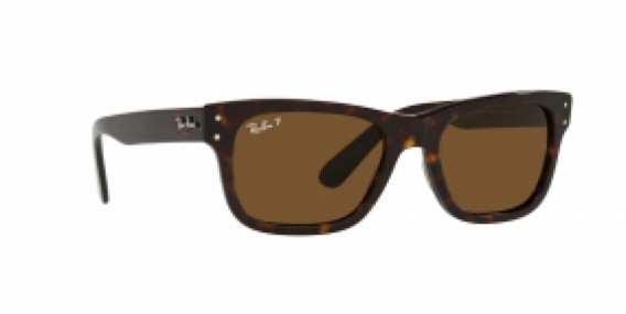 Ray-Ban RB2283 902/57