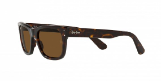 Ray-Ban RB2283 902/57