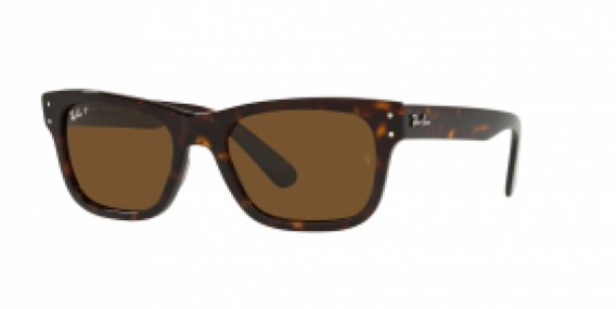 Ray-Ban RB2283 902/57