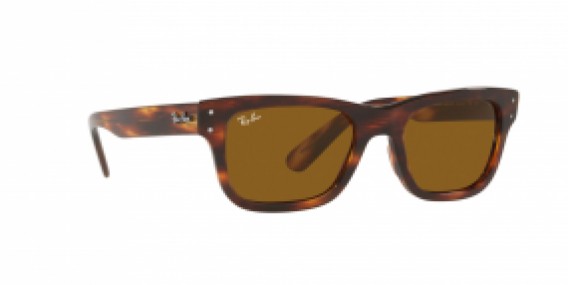 Ray-Ban RB2283 954/33