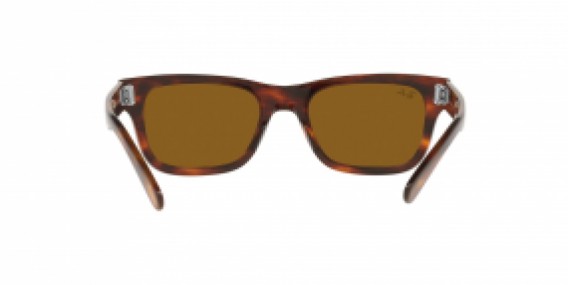 Ray-Ban RB2283 954/33