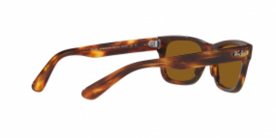 Ray-Ban RB2283 954/33