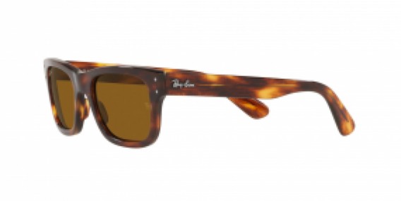 Ray-Ban RB2283 954/33