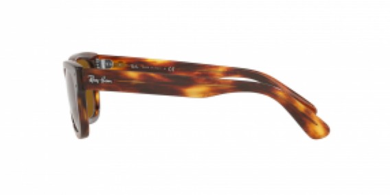 Ray-Ban RB2283 954/33