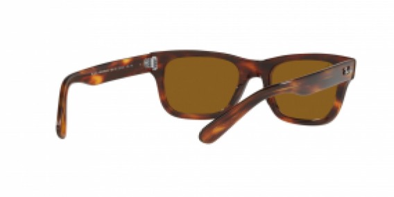 Ray-Ban RB2283 954/33