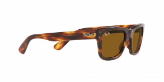 Ray-Ban RB2283 954/33