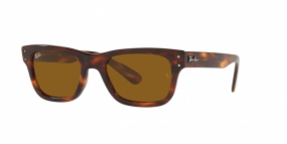 Ray-Ban RB2283 954/33