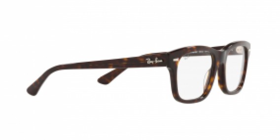 Ray-Ban RX5383 2012