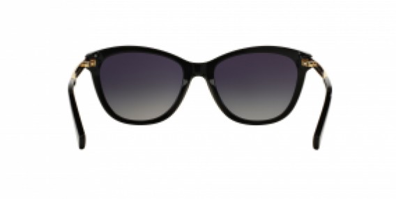 Ralph Lauren RA5201 1265T3