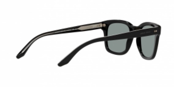 Giorgio Armani AR8138 500156