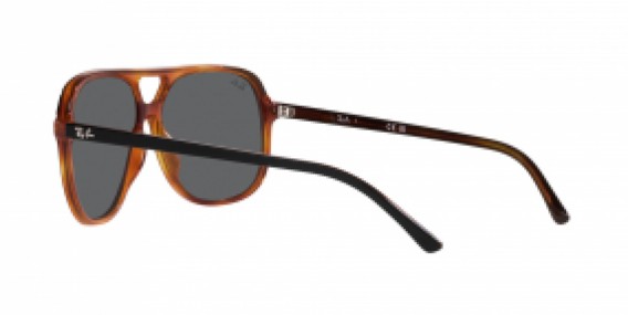 Ray-Ban RB2198 1363B1