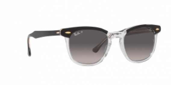 Ray-Ban RB2298 1294M3