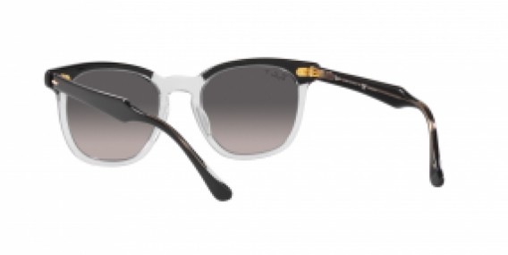 Ray-Ban RB2298 1294M3