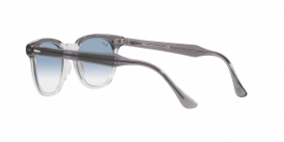 Ray-Ban RB2298 13553F