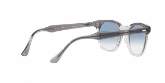 Ray-Ban RB2298 13553F