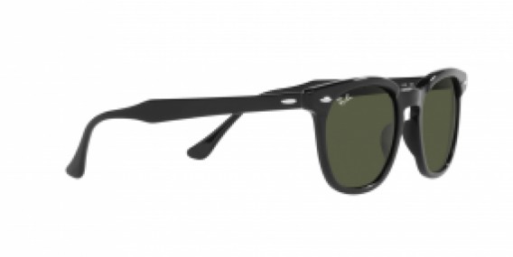 Ray-Ban RB2298 901/31