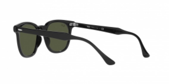 Ray-Ban RB2298 901/31