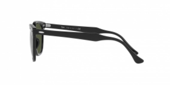 Ray-Ban RB2298 901/31