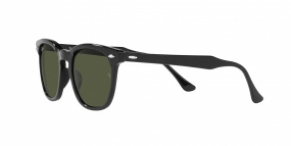 Ray-Ban RB2298 901/31