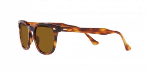 Ray-Ban RB2298 954/33