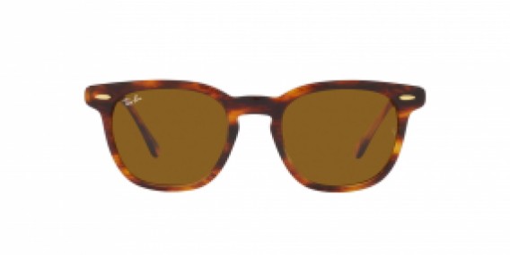 Ray-Ban RB2298 954/33