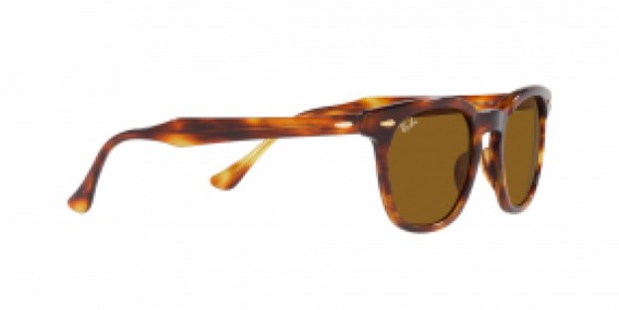 Ray-Ban RB2298 954/33