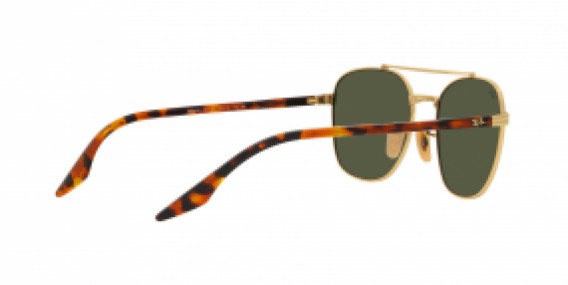 Ray-Ban RB3688 001/31