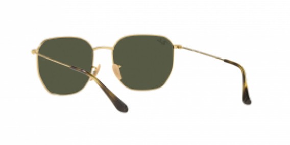 Ray-Ban RB3695I 001/51