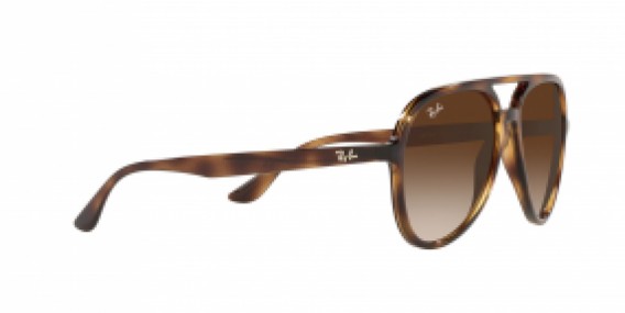 Ray-Ban RB4376 710/13