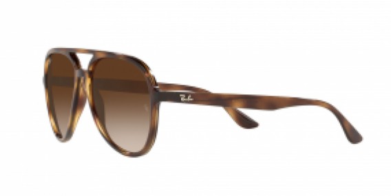 Ray-Ban RB4376 710/13