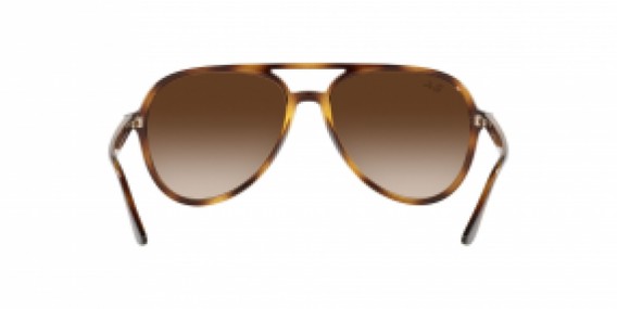 Ray-Ban RB4376 710/13