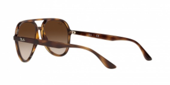 Ray-Ban RB4376 710/13